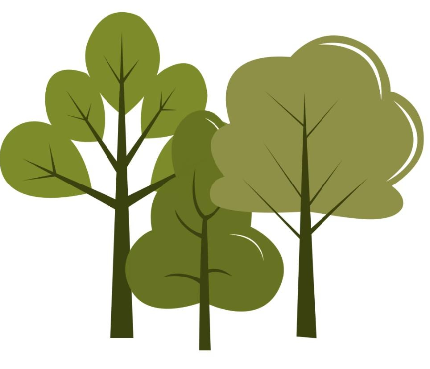 Woodlands Day School Logo